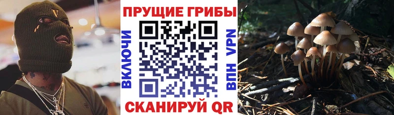 что такое наркотик  Кондрово  Галлюциногенные грибы мухоморы 